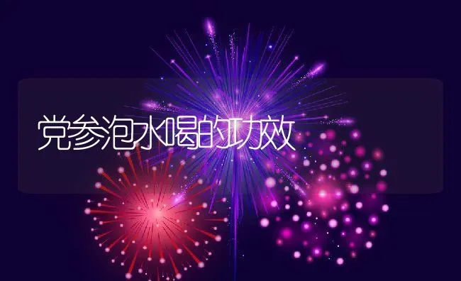 党参泡水喝的功效 | 养殖资料投稿