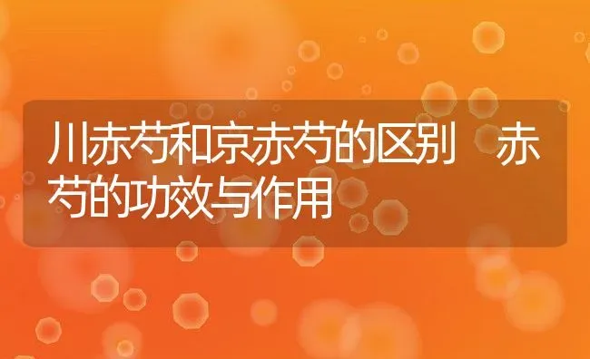 川赤芍和京赤芍的区别 赤芍的功效与作用 | 养殖资料投稿