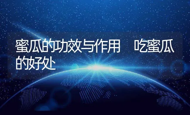 蜜瓜的功效与作用 吃蜜瓜的好处 | 养殖资料投稿