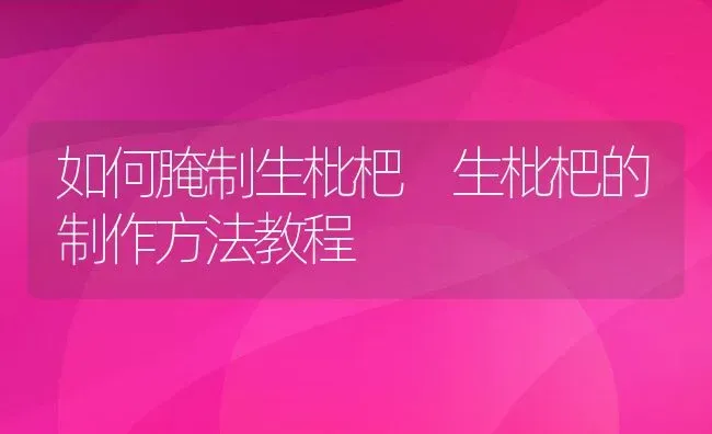 如何腌制生枇杷 生枇杷的制作方法教程 | 养殖资料投稿