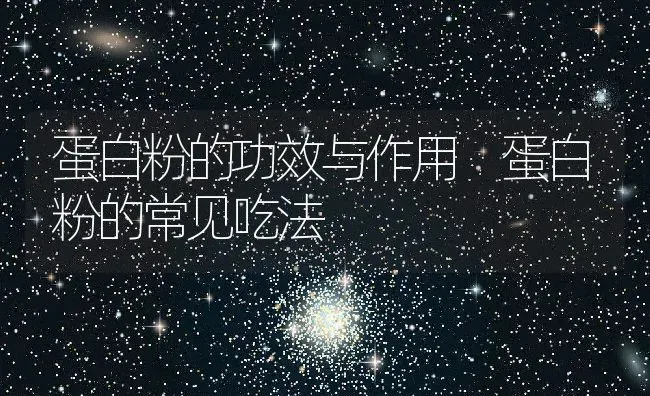 蛋白粉的功效与作用 蛋白粉的常见吃法 | 养殖资料投稿