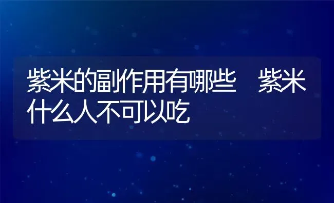 紫米的副作用有哪些 紫米什么人不可以吃 | 养殖资讯