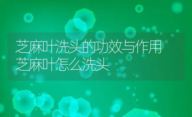 芝麻叶洗头的功效与作用 芝麻叶怎么洗头 | 养殖资料投稿