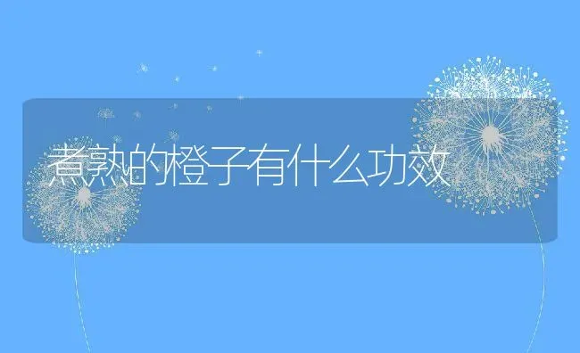 煮熟的橙子有什么功效 | 养殖资料投稿