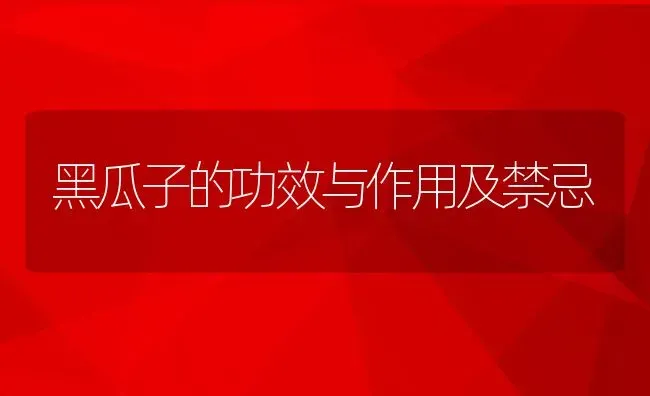 黑瓜子的功效与作用及禁忌 | 养殖资料投稿