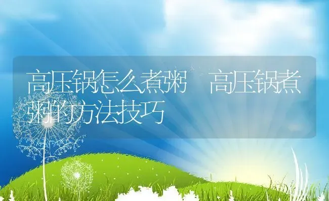 高压锅怎么煮粥 高压锅煮粥的方法技巧 | 养殖资讯