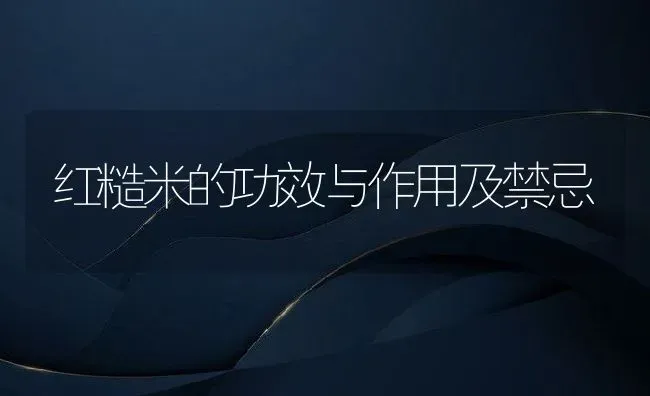 红糙米的功效与作用及禁忌 | 养殖资讯