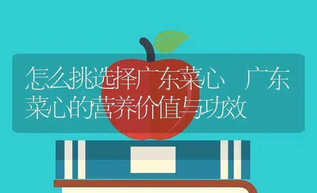 怎么挑选择广东菜心 广东菜心的营养价值与功效 | 养殖资料投稿