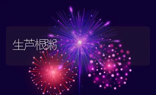 生芦根粥 | 养殖资讯