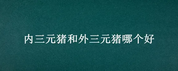 内三元猪和外三元猪哪个好