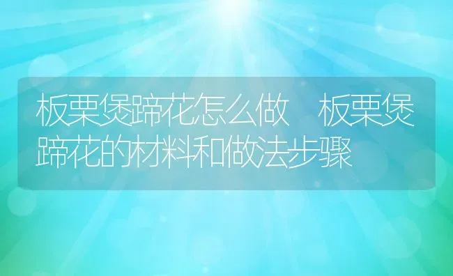 板栗煲蹄花怎么做 板栗煲蹄花的材料和做法步骤 | 养殖资料投稿