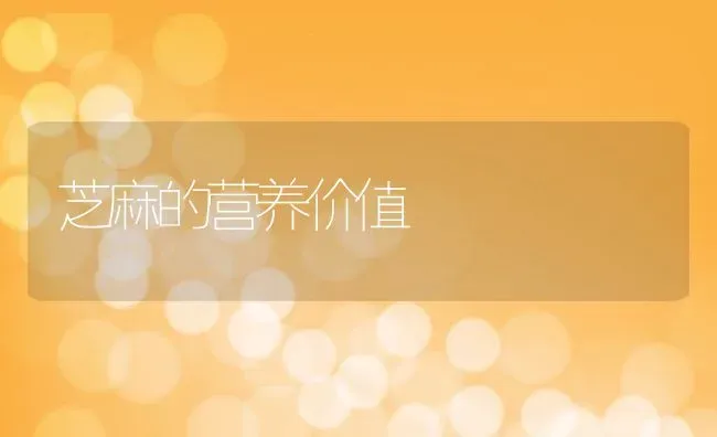 芝麻的营养价值 | 养殖资料投稿