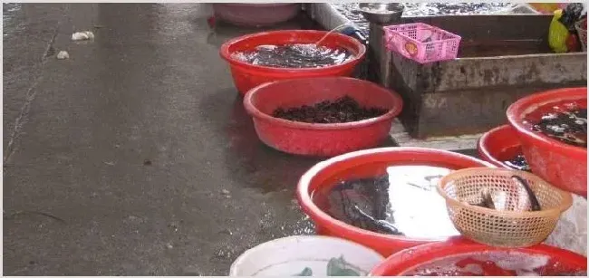 水产生意暴利吗？水产生意一月能赚多少钱 | 养殖什么赚钱