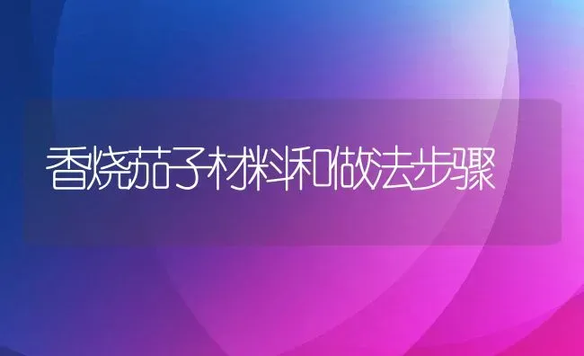 香烧茄子材料和做法步骤 | 养殖资料投稿