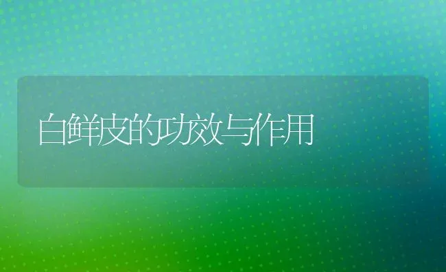 白鲜皮的功效与作用 | 养殖资料投稿