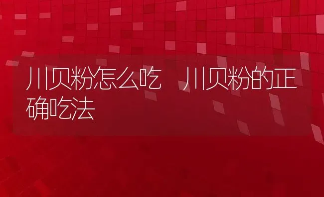 川贝粉怎么吃 川贝粉的正确吃法 | 养殖资料投稿