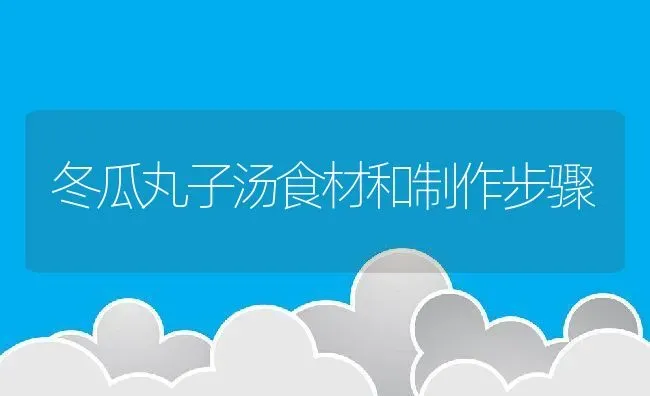 冬瓜丸子汤食材和制作步骤 | 养殖资料投稿