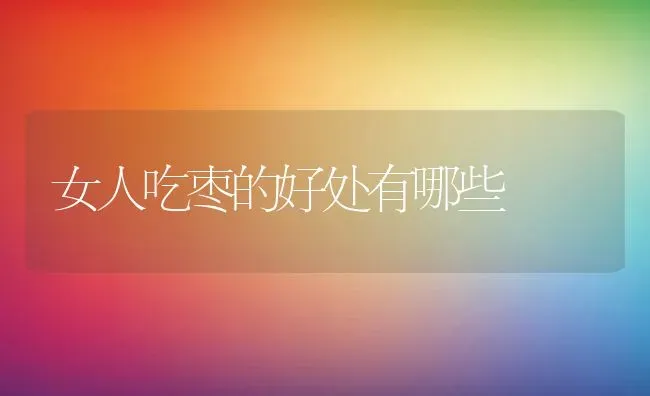 女人吃枣的好处有哪些 | 养殖资料投稿