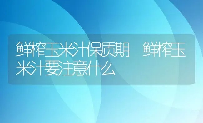 鲜榨玉米汁保质期 鲜榨玉米汁要注意什么 | 养殖资料投稿