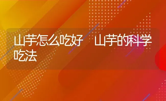 地参适合什么人吃 地参的吃法大全 | 养殖资料投稿