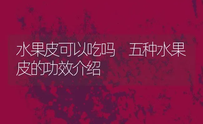 水果皮可以吃吗 五种水果皮的功效介绍 | 养殖资料投稿