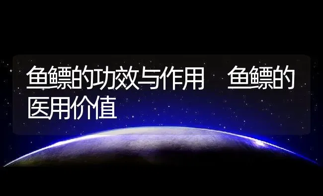 鱼鳔的功效与作用 鱼鳔的医用价值 | 养殖资料投稿