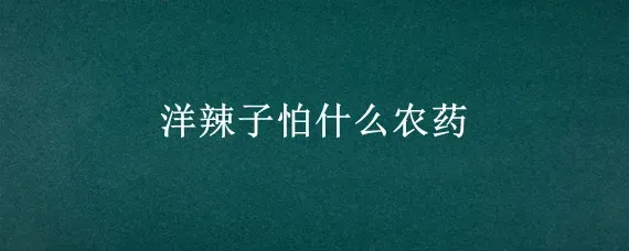 洋辣子怕什么农药