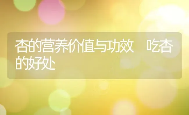 杏的营养价值与功效 吃杏的好处 | 养殖资料投稿