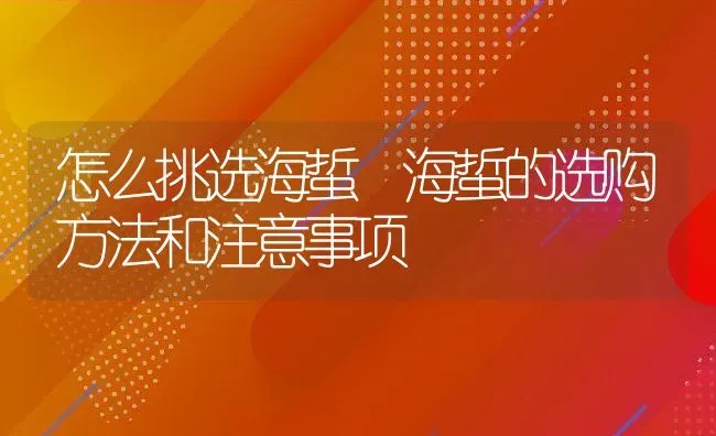 怎么挑选海蜇 海蜇的选购方法和注意事项 | 养殖资料投稿