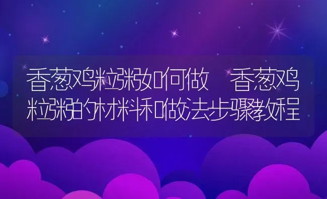 香葱鸡粒粥如何做 香葱鸡粒粥的材料和做法步骤教程 | 养殖资讯