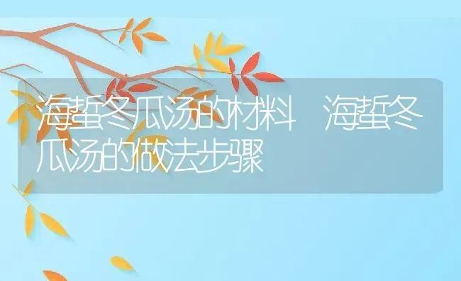 海蜇冬瓜汤的材料 海蜇冬瓜汤的做法步骤 | 养殖资料投稿