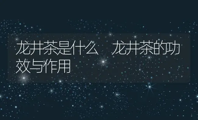 龙井茶是什么 龙井茶的功效与作用 | 养殖资料投稿