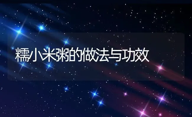 糯小米粥的做法与功效 | 养殖资讯