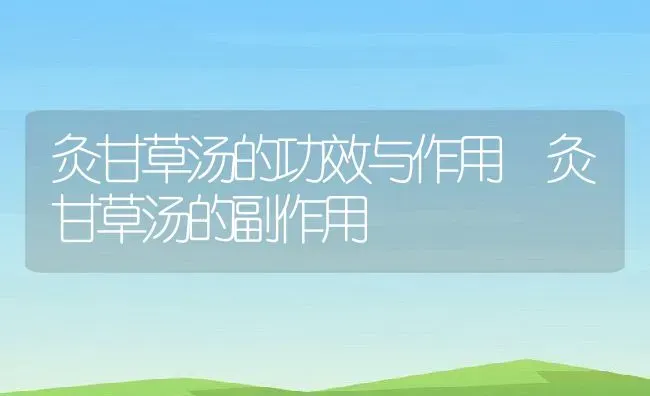 灸甘草汤的功效与作用 灸甘草汤的副作用 | 养殖资料投稿