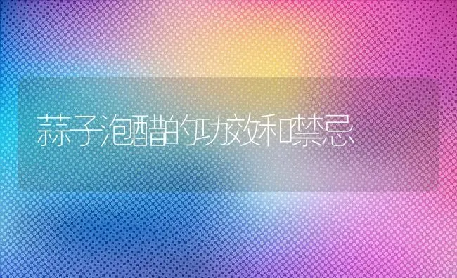 蒜子泡醋的功效和禁忌 | 养殖资料投稿