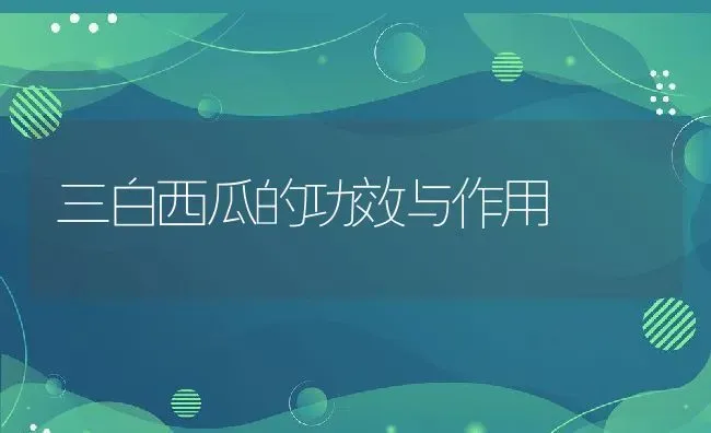 三白西瓜的功效与作用 | 养殖资料投稿