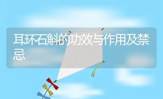 耳环石斛的功效与作用及禁忌 | 养殖资料投稿