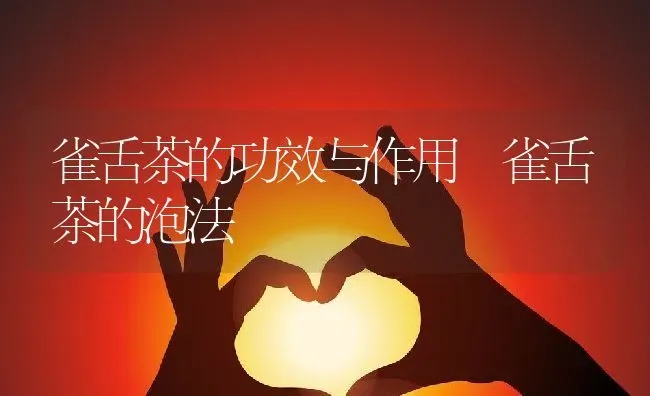 雀舌茶的功效与作用 雀舌茶的泡法 | 养殖资料投稿