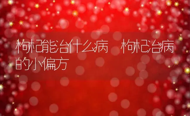 枸杞能治什么病 枸杞治病的小偏方 | 养殖资料投稿