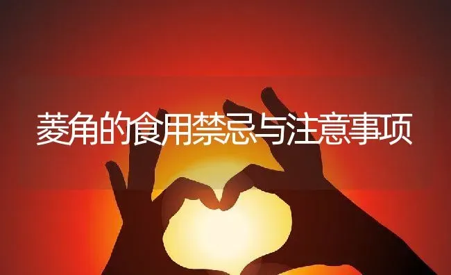菱角的食用禁忌与注意事项 | 养殖资料投稿