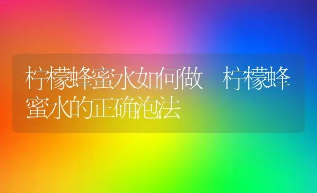 柠檬蜂蜜水如何做 柠檬蜂蜜水的正确泡法 | 养殖资料投稿