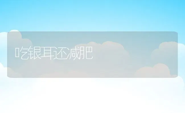 吃银耳还减肥 | 养殖资讯