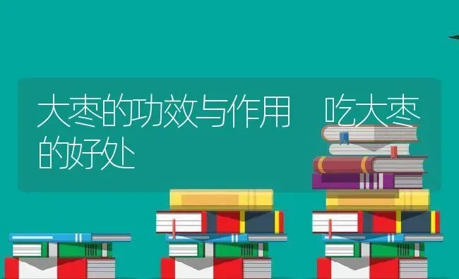 大枣的功效与作用 吃大枣的好处 | 养殖资料投稿