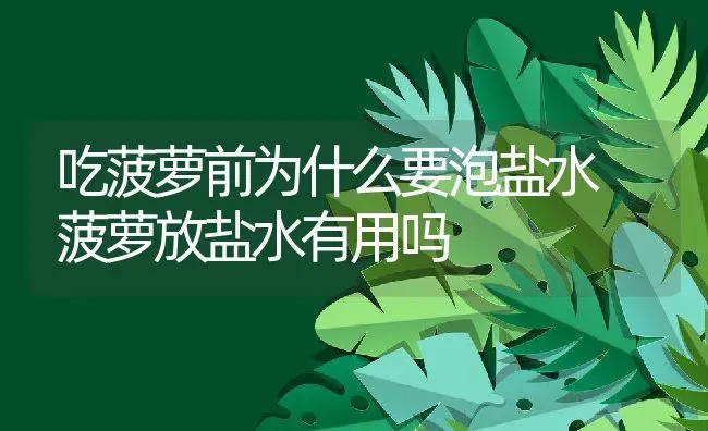 吃菠萝前为什么要泡盐水 菠萝放盐水有用吗 | 养殖资料投稿