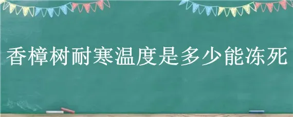 香樟树耐寒温度是多少能冻死