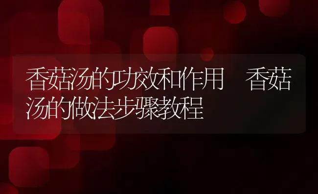 香菇汤的功效和作用 香菇汤的做法步骤教程 | 养殖资料投稿