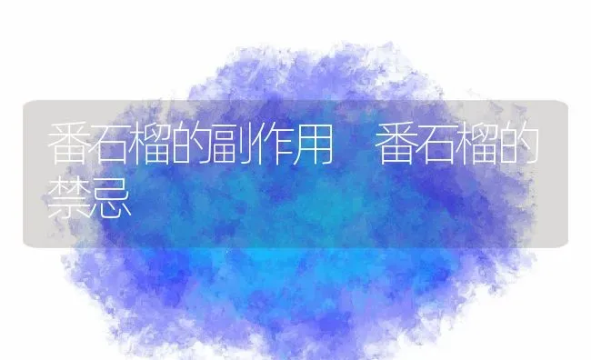 番石榴的副作用 番石榴的禁忌 | 养殖资料投稿