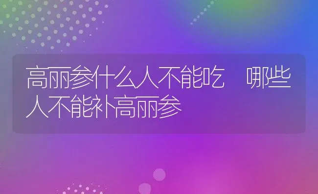 高丽参什么人不能吃 哪些人不能补高丽参 | 养殖资料投稿