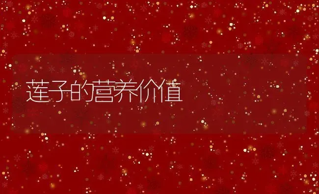 莲子的营养价值 | 养殖资讯