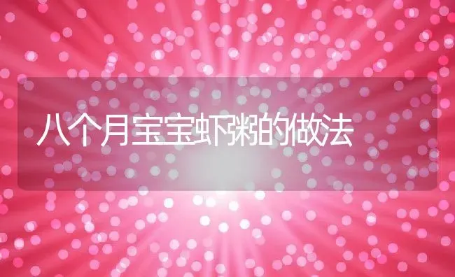 八个月宝宝虾粥的做法 | 养殖资讯